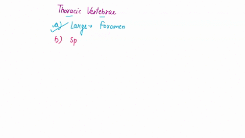 the-thoracic-vertebra-eoukd-have-all-of-the-following-characteristics-exceptalarge-vertebral-foramenblong-spinous-processcmedium-size-bodiesdadditional-articular-facets-85693
