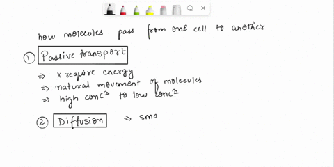 determine-how-each-molecule-can-pass-into-the-cellis-it-by-passive-transportactive-transport-or-endocytosis-17118