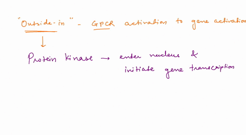 question-13-in-the-outside-in-pathway-leading-from-gpcr-activation-to-gene-activation-which-of-the-following-enzymes-enters-the-nucleus-t0-help-initiate-gene-transcription-protein-kinase-pho-86247