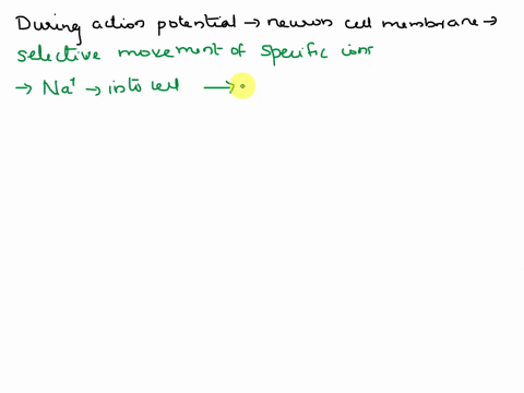 which-ions-cross-the-neuron-cell-membrane-during-the-action-potential-and-which-ions-cause-an-epsp-56785