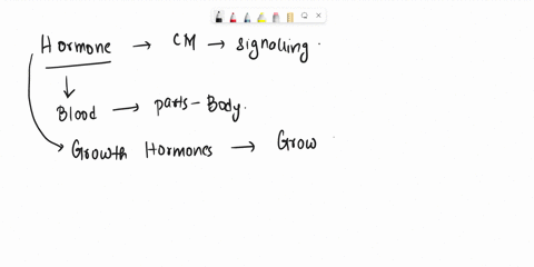 growth-hormone-a-is-regulated-mainly-by-calcium-level-b-stimulates-the-liver-to-produce-insulin-like-26406
