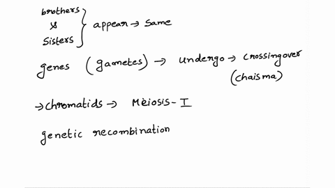 why-do-siblings-always-look-different-from-each-other-even-though-they-have-the-same-parents-a-siblings-look-exactly-the-same-b-this-is-because-there-are-always-random-mutations-in-everyones-51549