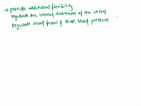 what-is-the-function-of-elastic-fibers-and-smooth-muscle-in-the-tunica-media-of-arteries-34918