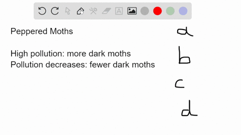 due-to-natural-selection-the-dark-peppered-moth-is-favored-in-areas-with-severe-air-pollution-possibly-because-on-darkened-trees-moth-eating-birds-see-them-less-easily-as-pollution-decreased-25978