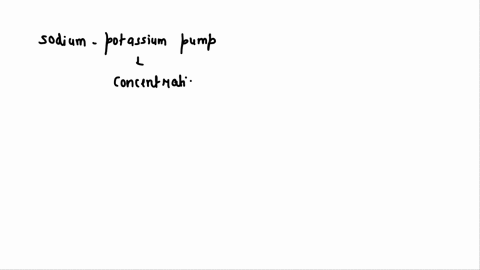 describe-in-detail-what-resting-membrane-potential-is-and-what-role-the-sodiumpotassium-leakage-channels-and-the-sodium-potassium-pump-play-in-maintaining-this-potential-95279