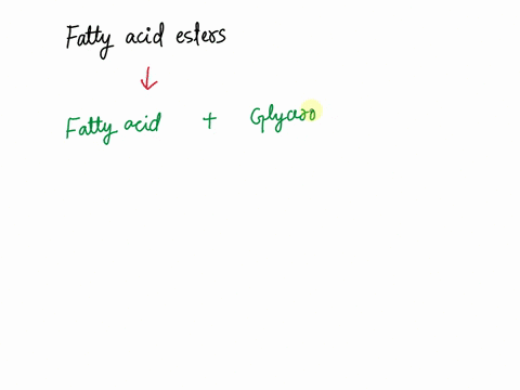 which-of-the-following-molecules-participate-in-the-formation-of-a-fatty-ester-select-all-that-apply-glycerol-amino-acids-sucrose-fatty-acids-94684