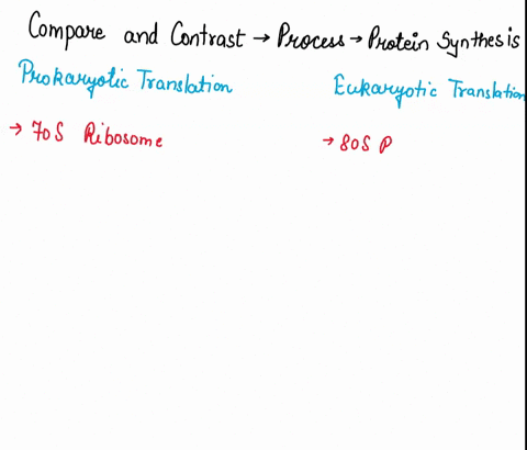 compare-and-contrast-the-process-of-protein-synthesis-in-bacterial-and-eukaryotic-cells-giving-sim-3-81083