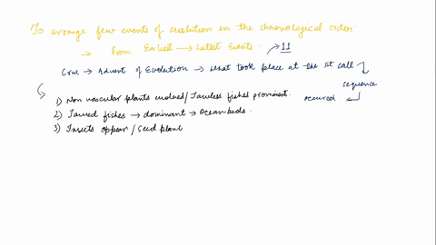 place-the-following-events-in-chronological-order-with-the-earliest-oldest-event-first-drag-the-lert-blocks-below-into-thelr-conect-order-modern-humans-appear-as-the-ice-age-dawns-seed-plant-04073