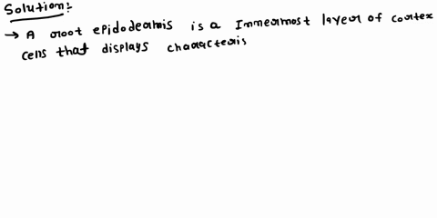 a-root-endodermis-is-a-an-innermost-layer-of-cortex-cells-that-display-characteristic-casparian-st-2-65525