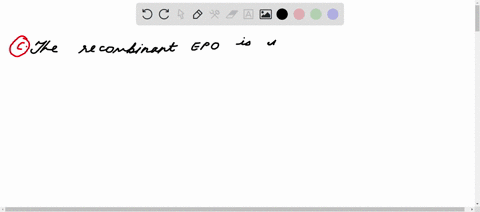 erythropoetin-epo-is-a-hormone-that-stimulates-the-production-of-red-blood-cells_-athletes-who-wish-to-improve-their-aerobic-performance-use-recombinant-epo-how-is-it-identified-by-drug-test-37762