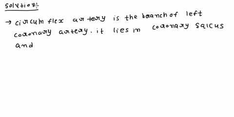 question-16-2pts-which-of-the-following-vessels-lie-in-the-coronary-sulcus-othe-marginal-artery-and-circumflex-artery-o-the-anterior-and-posterior-interventricular-arteries-the-right-and-lef-49807
