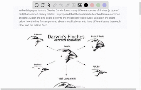 in-the-galapagos-islands-charles-darwin-found-many-different-species-of-finches-a-type-of-bird-that-seemed-closely-related-he-proposed-that-the-birds-had-all-evolved-from-a-common-ancestor-m-57632