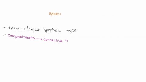 which-of-the-following-statements-about-the-spleen-is-false-a-it-routinely-produces-new-blood-cells-26872