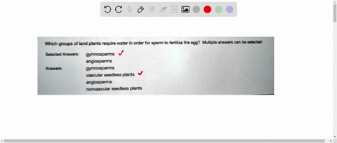 question-12-which-groups-of-land-plants-require-water-in-order-for-sperm-to-fertilize-the-egg-multiple-answers-can-be-selected-selected-answers-gymnosperms-angiosperms-answers-gymnosperms-va-56186