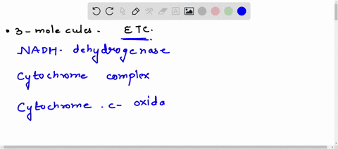 specifically-name-three-different-types-of-molecules-in-the-electron-transport-chain-describe-their-reactions-and-briefly-explain-their-function-68835