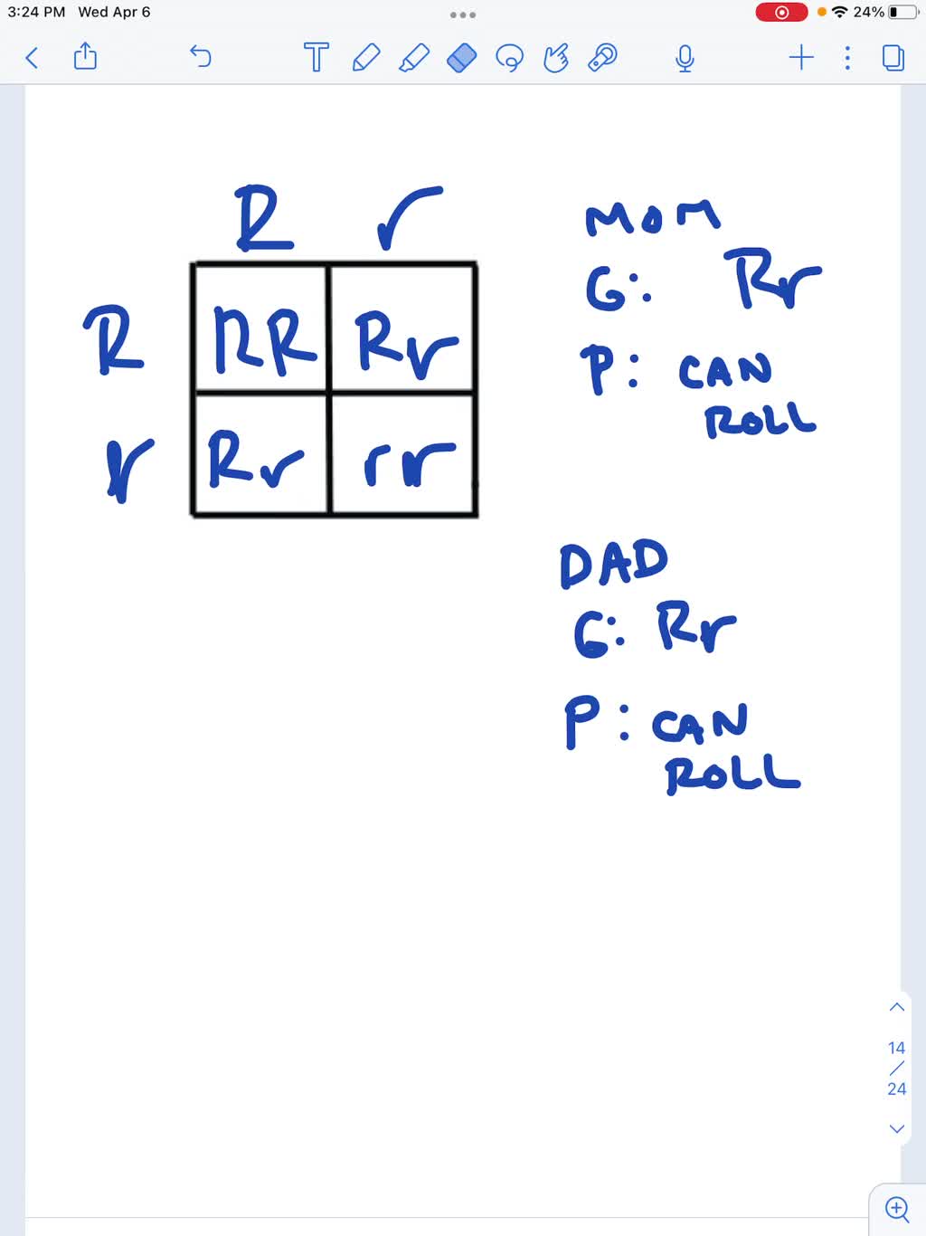 SOLVED What are all the " possible gamete combinations? (What goes across the top and side of