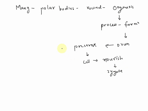 how-many-polar-bodies-are-given-out-in-production-of-one-egg-during-cogenesis-44597