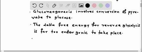 explain-why-pyruvate-cannot-be-converted-to-glucose-in-an-exact-reverse-of-the-glycolysis-pathway-29427