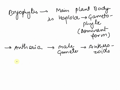what-is-the-advantage-of-the-dominant-gametophyte-generation-that-is-found-in-the-bryophytes-40893