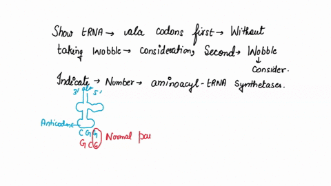 5-show-trnas-bound-to-ala-codons-first-without-taking-wobble-into-consideration-second-taking-wobble-into-consideration-indicate-the-number-of-aminoacyl-trna-synthetases-required-without-and-22405