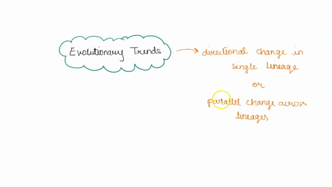 describe-3-evolutionary-trends-that-seem-to-have-taken-place-in-the-evolution-of-the-animals-using-examples-02884