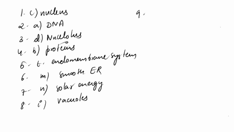 a-dna-b-proteins-c-nucleus-d-nucleolus-e-modify-f-digestion-g-cellulose-h-channels-i-vacuoles-j-mitochondria-k-microtubules-1-rough-er-m-smooth-er-n-solar-energy-o-protein-fibers-p-large-vac-22987