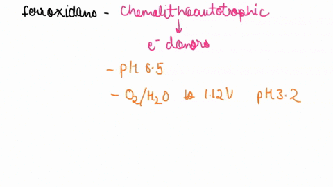 discuss-how-the-oxidation-of-iron-pyrite-by-acidithiobacillus-ferrooxidans-in-mining-operations-can-have-both-beneficial-and-negative-outcomes-96334