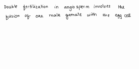describe-double-fertilization-in-angiosperms-what-are-the-products-of-this-process-84162