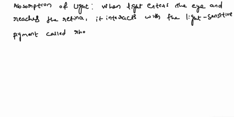 in-the-human-retina-visible-light-absorption-by-11-cis-retinal-causes-it-to-isomerize-into-all-trans-retinal-visible-rhodopsin-light-all-trans-retinal-11-cis-retinal-dark-state-photoproduct-67962