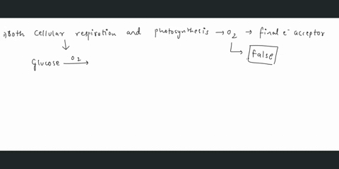 question-38-2pts-both-cellular-respiration-and-photosynthesis-use-oxygen-as-their-final-electron-acceptor-true-0-false-questlon-39-2-pts-atp-is-created-through-oxidative-phosphorylation-duri-75588