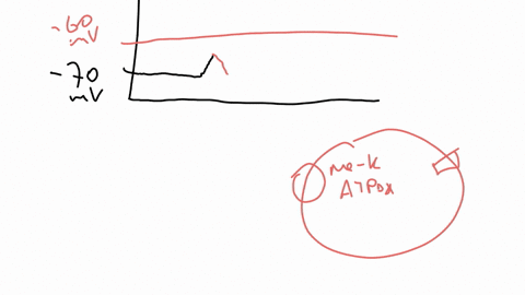 which-ofthe-following-is-not-true-regarding-resting-rembrane-potential-the-sodium-potassium-pump-maintains-an-unequal-distribution-of-sodiumn-and-potassium-ions-on-either-side-ofthe-plasma-m-84504