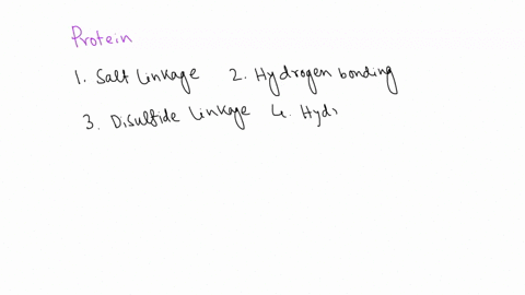 discuss-how-intermolecular-forces-stabilize-the-structure-of-proteins-cell-membranes-and-dna-37932