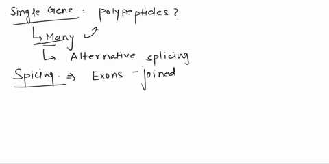 33ptsexplain-how-many-different-polypeptide-chains-can-be-produced-from-one-single-genea-quality-answer-would-likely-include-a-discussion-on-gene-splicing-and-recombination-80973