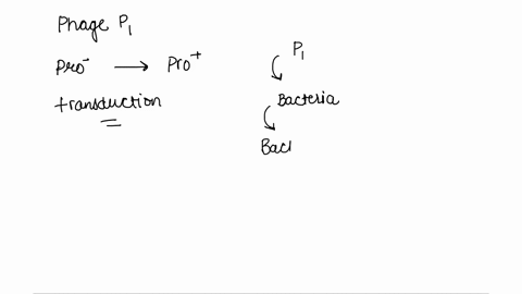 how-would-you-use-phage-p1-to-convert-a-proline-auxotroph-proe-coli-strain-to-a-pro-strain-87734
