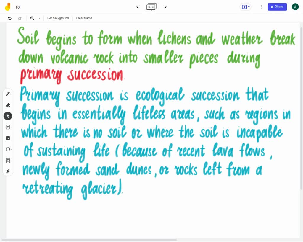 Solved 13 Soil Begins To Form When Lichens And Weather Break Down Volcanic Rock Into Smaller Pieces During A Pioneer Species B Primary Succession C Secondary Succession D Climax Communities