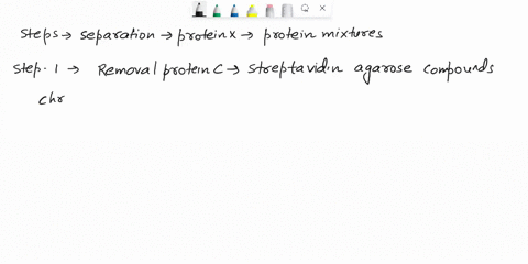biochemist-is-attempting-t0-separate-dna-binding-protein-protein-x-from-other-proteins-in-solution-only-three-other-proteins-a-b-and-c-are-present-the-proteins-have-the-following-properties-66361