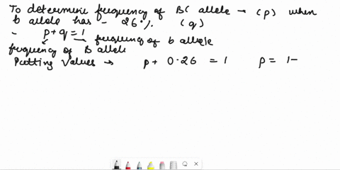 what-is-the-frequency-of-the-b-allele-if-allele-b-has-a-frequency-of-262-b-for-question-4a-what-genotypic-frequencies-should-be-observed-among-the-offspring-in-the-next-generation-5-populati-38703