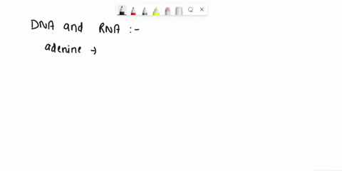 which-dna-bases-will-pair-1-will-pair-i-only-1-with-in-dna-rna-and-transcription-of-rna-m-with-35391