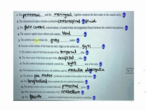 part-bassessments-complete-the-following-statements-1the-and-the-together-compose-the-dura-mater-in-the-cranial-cavity-2the-subarachnoid-space-contains-a-protective-41-3the-a-dural-septum-is-49315