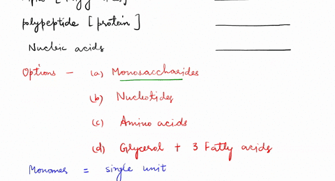 match-the-following-macromolecules-polymers-with-their-corresponding-monomers-polysaccharide-complex-carbohydrate-choose-monosaccharide-nucleotides-amino-acids-glycerol-jatty-acids-lipids-tr-67497