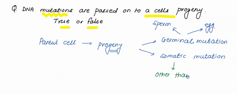dna-mutations-are-passed-on-to-a-cells-progeny-true-or-false-30389