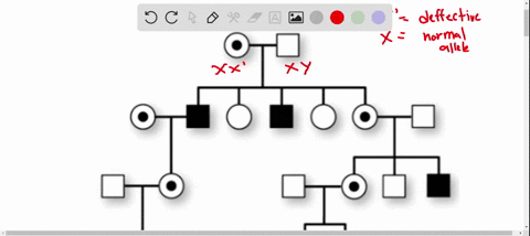 question-3-1-pts-what-is-the-most-likely-mode-of-inheritance-in-this-pedigree-generation-parents-generation-ii-generation-iii-generation-iv-x-linked-recessive-y-linked-recessive-autosomal-re-48198