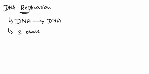 adna-replication-1which-molecule-is-made-during-dna-replication-2which-molecule-is-the-template-3what-is-the-main-enzyme-that-makes-the-copy-4what-is-the-role-of-helicase-5what-is-the-role-o-37076