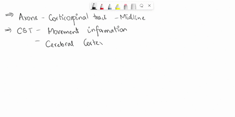 where-do-axons-of-the-corticospinal-tract-cross-the-midline-the-internal-capsule-they-do-not-cross-but-rather-travel-ipsilaterally-the-medullary-pyramids-the-medial-lemniscus-33243
