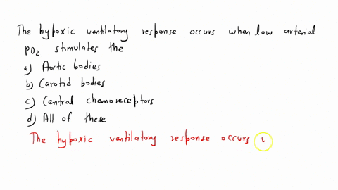 the-hypoxic-ventilatory-response-occurs-when-low-arterial-po2-stimulates-thea-aortic-bodiesb-carotid-bodiesc-central-chemoreceptorsd-all-of-these-61514