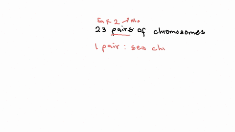 which-of-the-following-would-be-the-correct-number-of-autosomes-found-in-human-somatic-cells