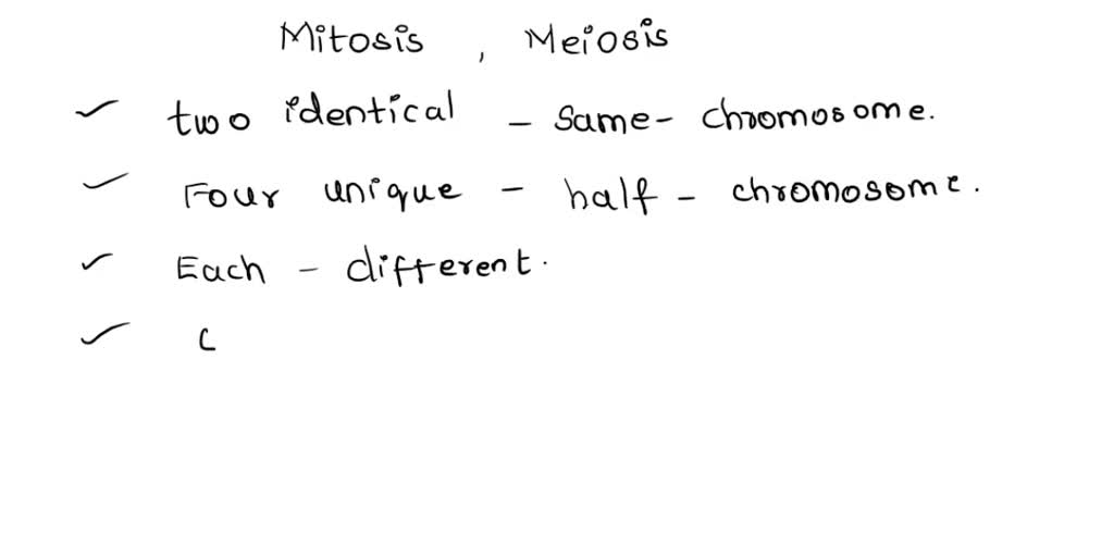 solved-in-mitosis-and-meiosis-are-daughter-cells-genetically-identical