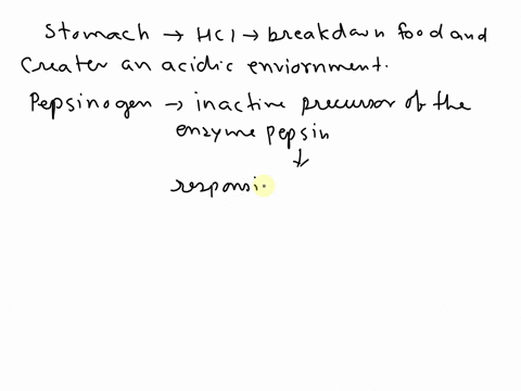 many-digestive-enzymes-are-produced-in-the-pancreas-and-released-into-the-duodenum-why-then-has-the-mammalian-stomach-evolved-the-ability-to-produce-pepsinogen-00355