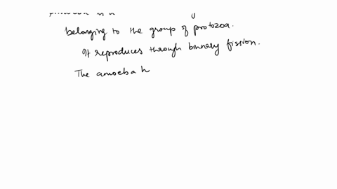 which-genus-of-single-celled-organisms-feeds-by-surrounding-its-food-with-cytoplasm-and-engulfing-it-75532
