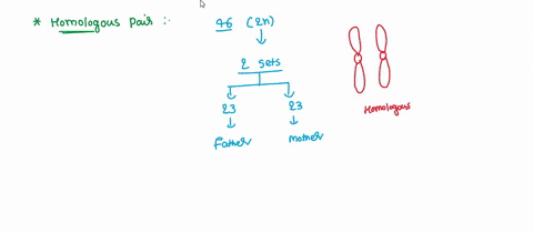 5a-homologous-pair-of-chromosomes-is-homologous-because-a-the-chromosomes-come-from-the-same-parent-b-both-has-loci-that-contain-alleles-for-the-sare-traits-they-are-only-found-in-somatic-ce-26975